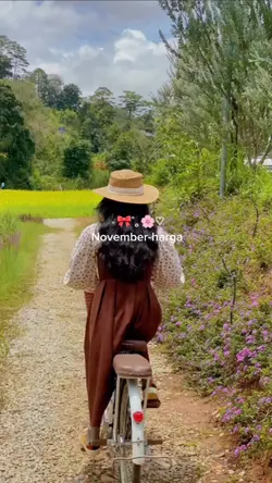 November-harga