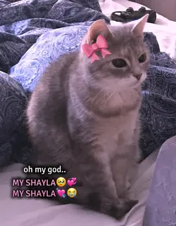 my shayla..