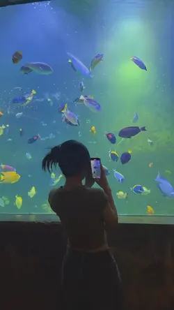 vlog