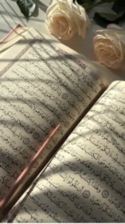 Quran recitation 