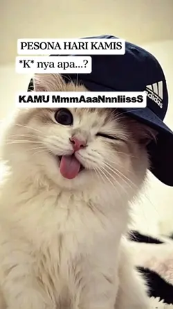 KAMIS K nya apa