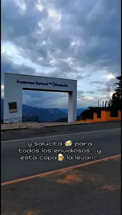 chimosfilia