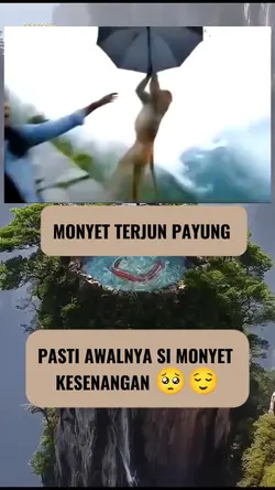 Terjun PAYUNG