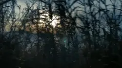Video slomotion❤️