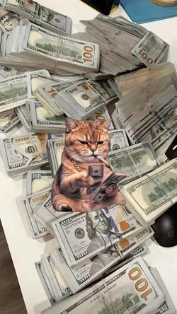 counting money