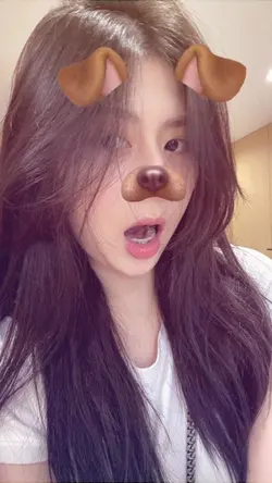 dog filter
