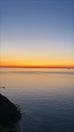 yeni şablon