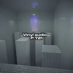 Vinyl audio p.721🎧