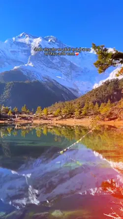 slowmotion template 