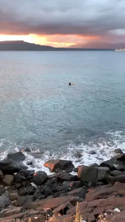 kondisi ini macam