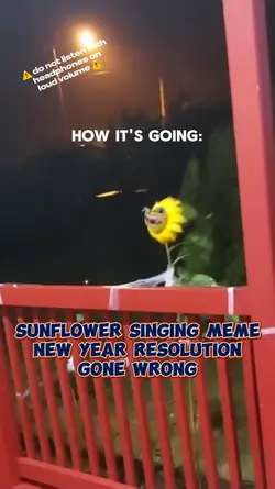 Sunflower singing