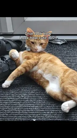 WHAT?! 