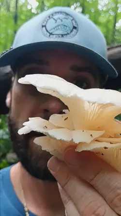 oyster goodness