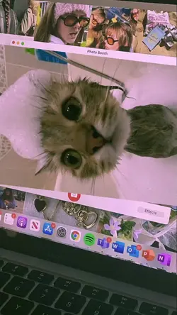 Macbook cam