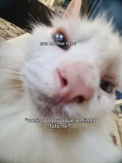 sua melhor foto
