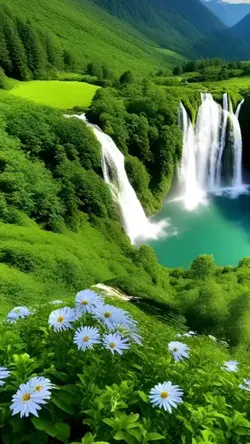 beautiful nature