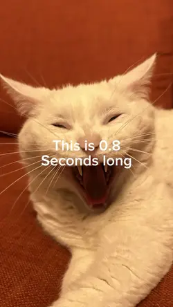 0.8 seconds long