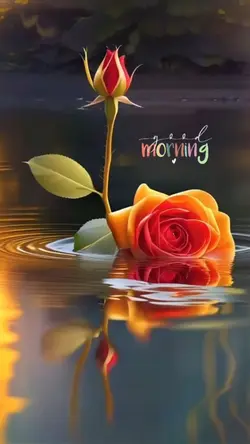 Blooming Flower