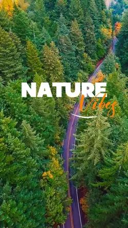 Nature Vibes