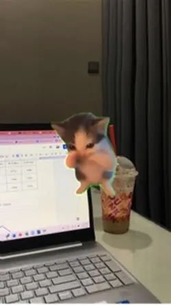 kucing kicaumania