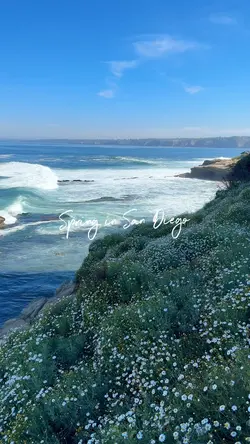 Spring in San Diego 