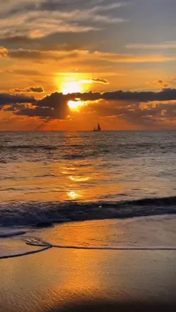 new sunset 