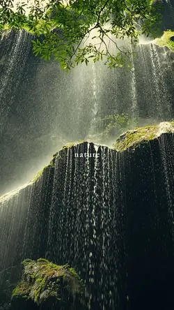 nature, therapy