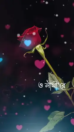 ও সাথী রে 