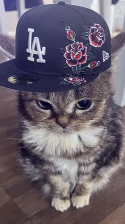 JJ 3 KLIP KECE CUY