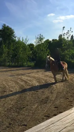 Rusty🐴❤️