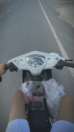 Trình chiếu & màu
