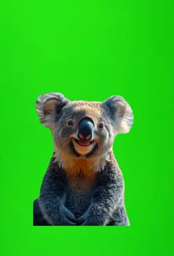 Happy Koala meme