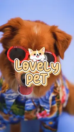 Lovely Pet