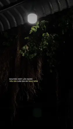 Nguyện một lần được 