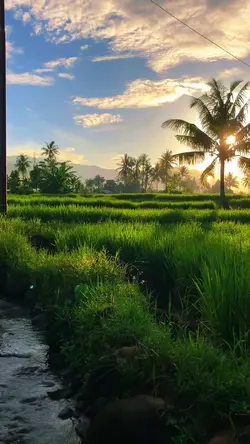 pagi yang indah