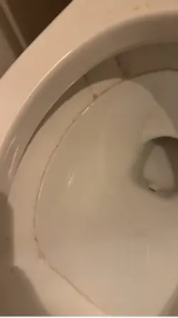 Home stain removal 
