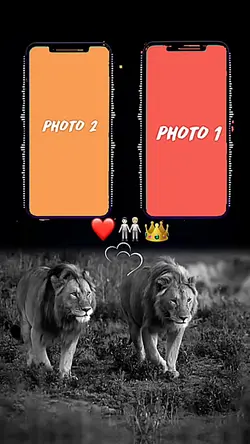 Trend Edit New 
