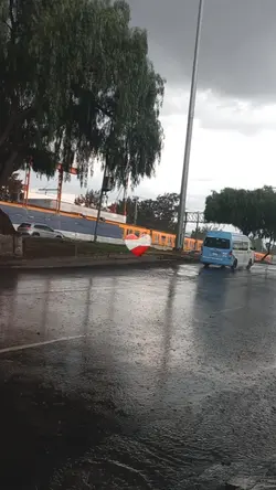 Mibuen corazón salsa