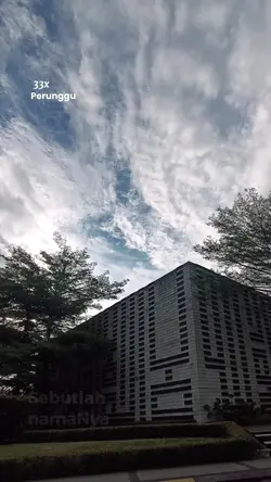 33x