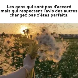 changez pas svp