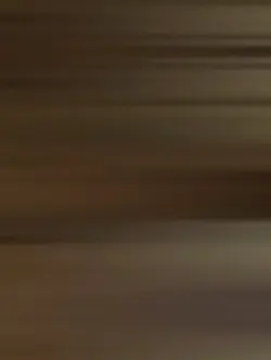 Velocity