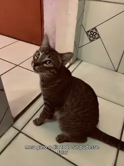 to com fome mamãe 