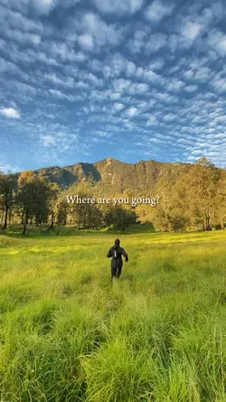 where are you going