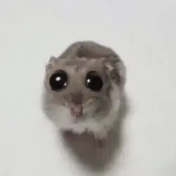 ....