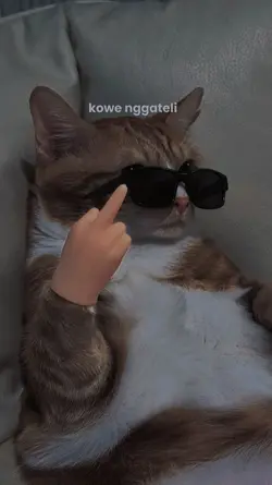pancen kowe gateli