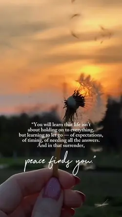 Peace Finds You
