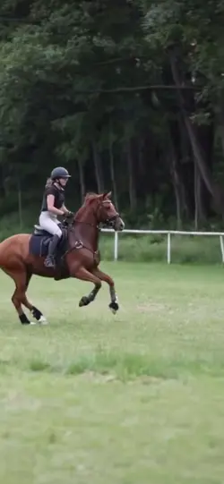 Horse slowmo
