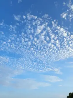 原況