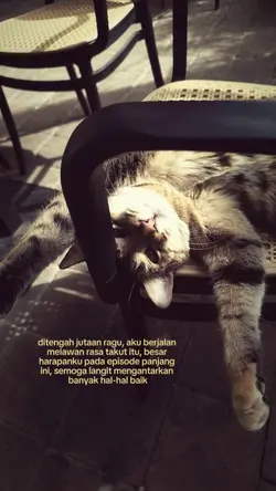ditengah jutaan ragu