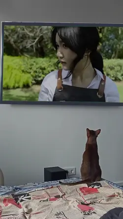 KUCING GABUT